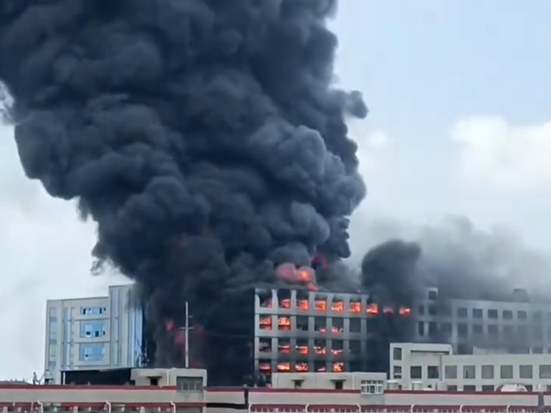 1754554025.jpg 8月6日 (1).jpg